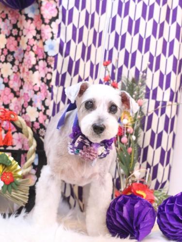 20250125ボルトくん